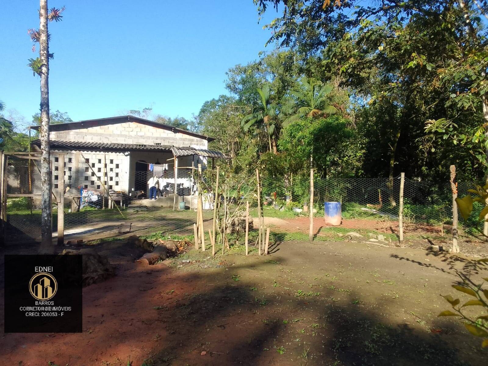 Fazenda à venda com 4 quartos, 25000m² - Foto 5