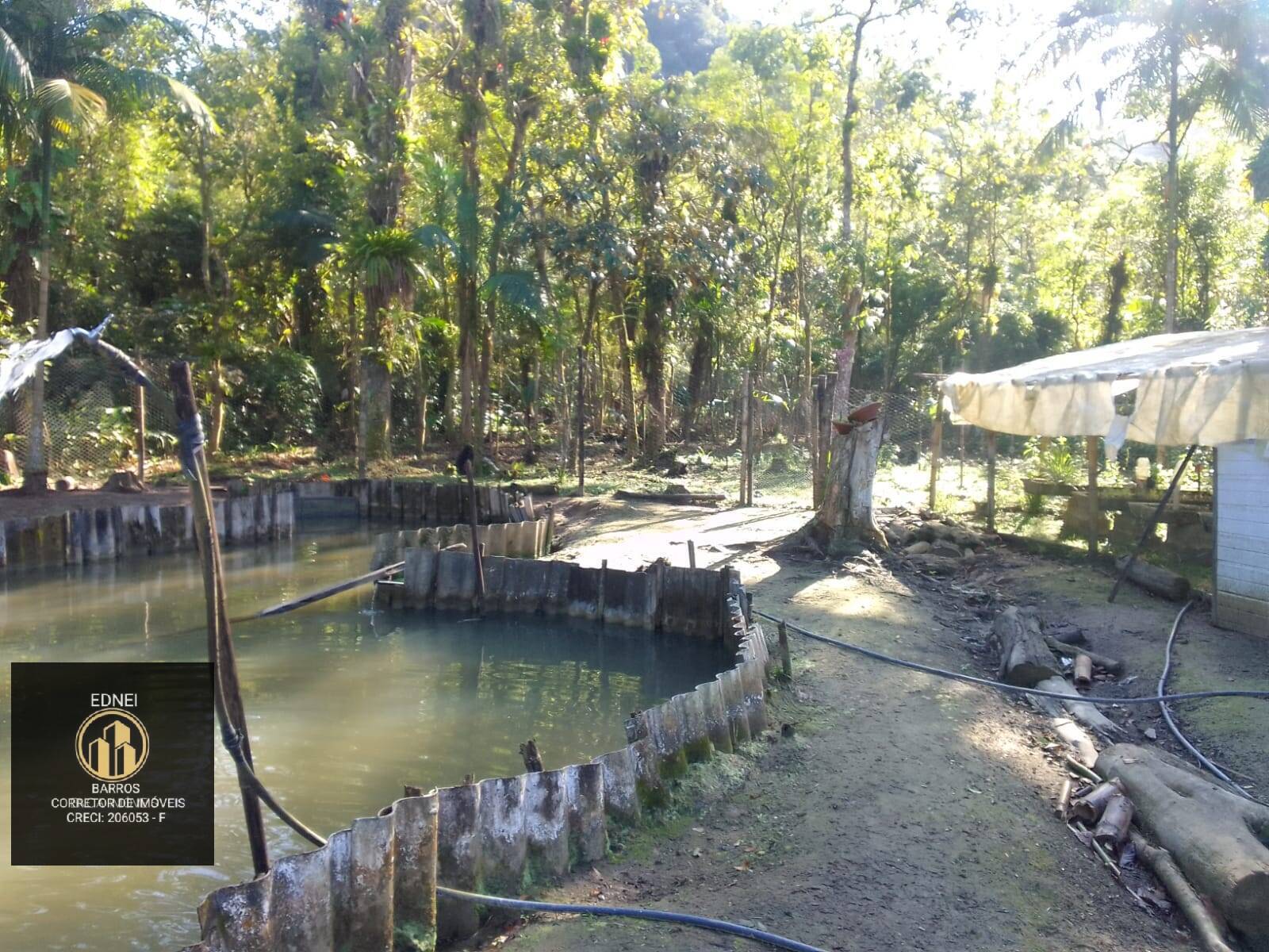 Fazenda à venda com 4 quartos, 25000m² - Foto 6