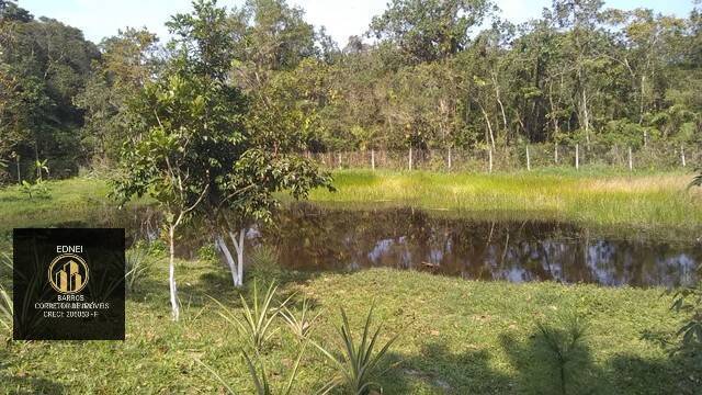 Fazenda à venda com 6 quartos, 6000m² - Foto 9