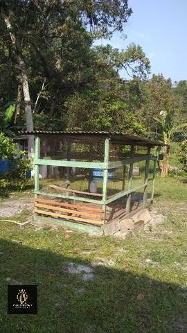 Fazenda à venda com 6 quartos, 6000m² - Foto 13