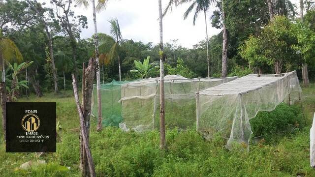 Fazenda à venda com 10 quartos, 7500m² - Foto 11