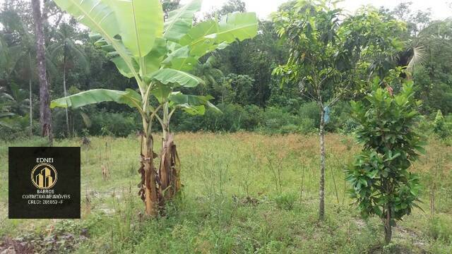 Fazenda à venda com 10 quartos, 7500m² - Foto 12